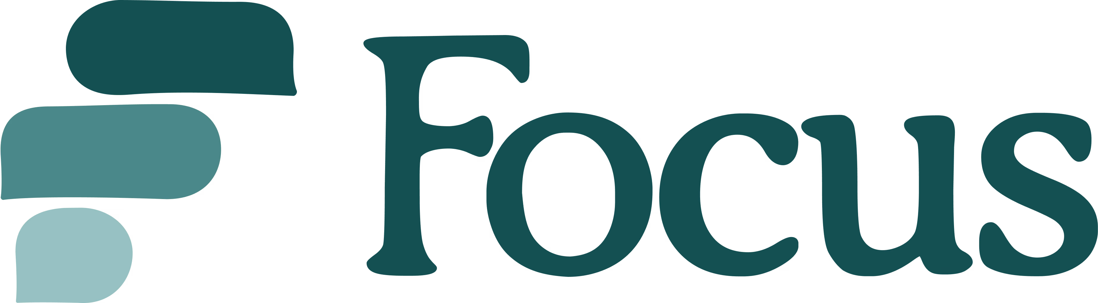 Focus: Digital Twins logo