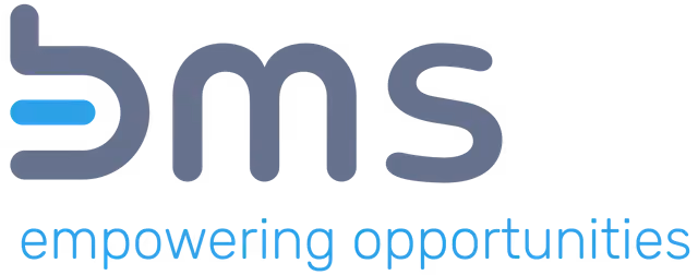 bms - marketing research + strategy GmbH logo