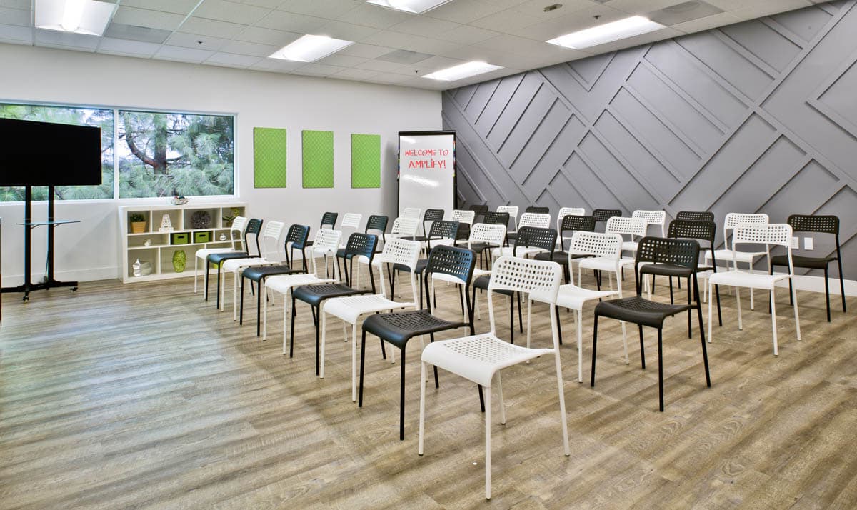 Large Focus Group Room Theater