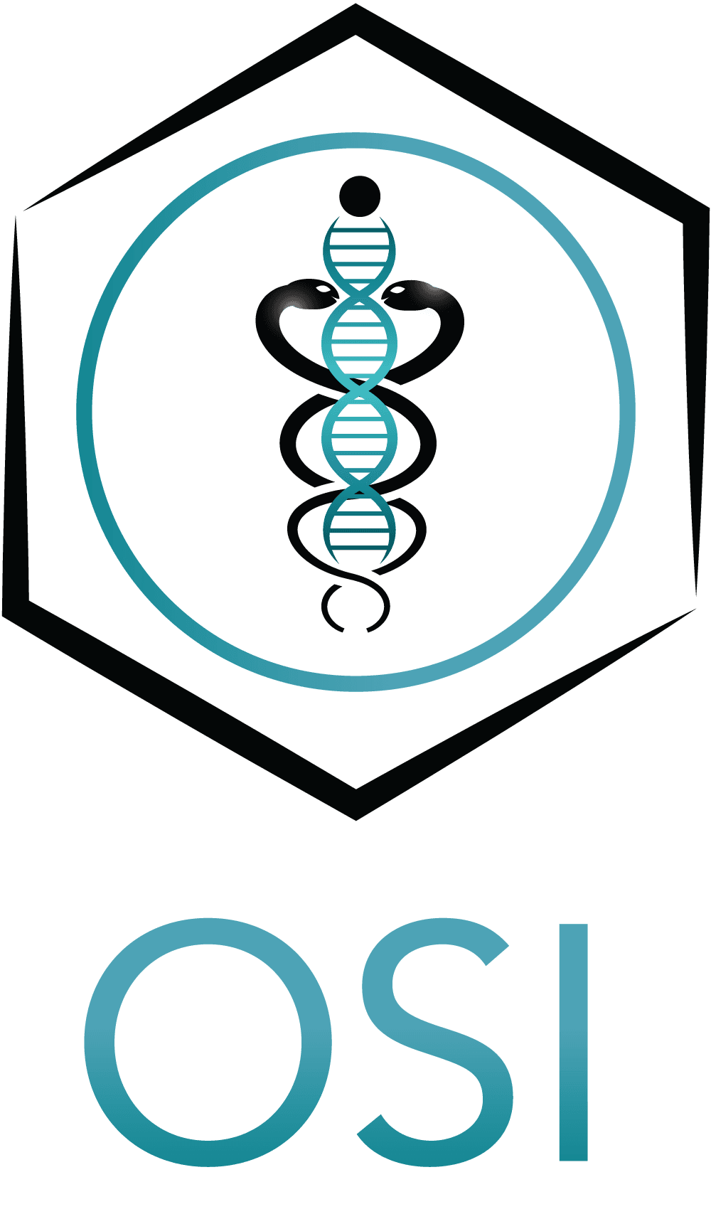 OSI – main gallery image