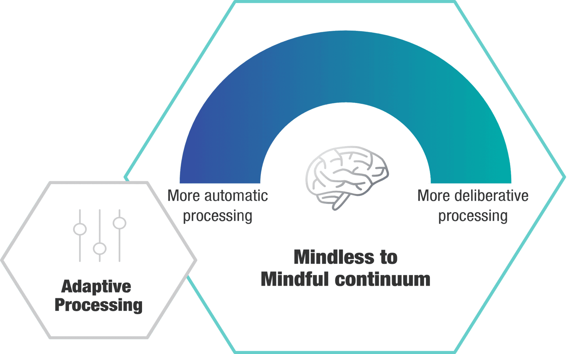 the Mindless to Mindful scale from More Automatic Processing to More Deliberative Processing