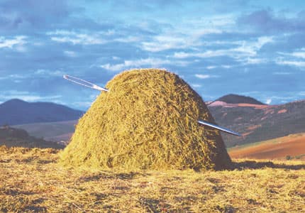 finding-a-needle-in-a-haystack