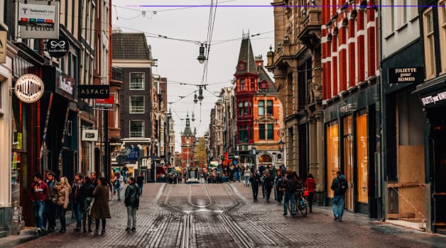 Network in a Nexus of Global Minds: